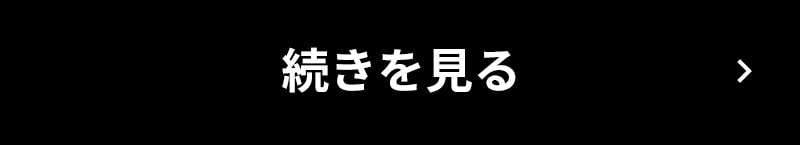 続きを見る
